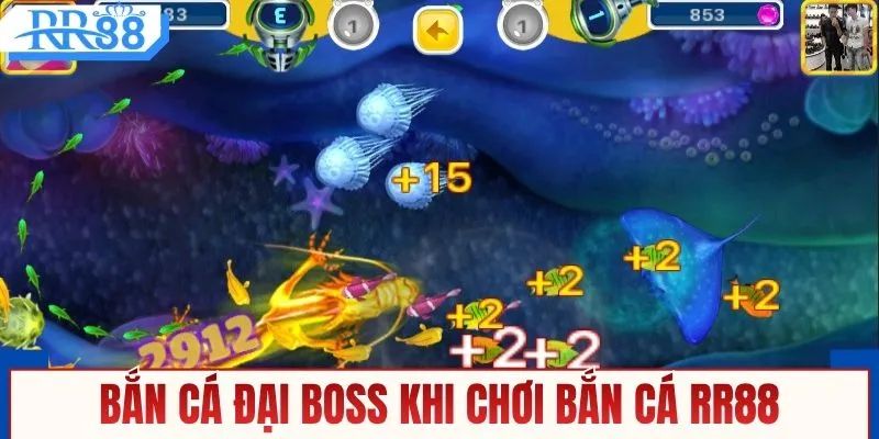 Bắn đại boss khi chơi bắn cá RR88