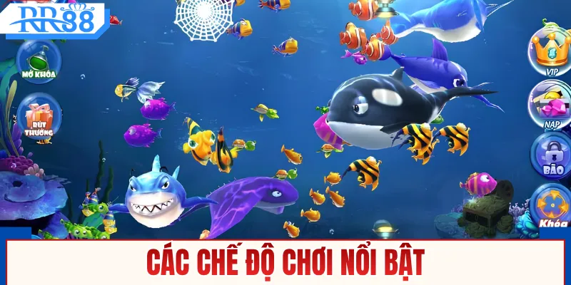 Các chế độ chơi nổi bật