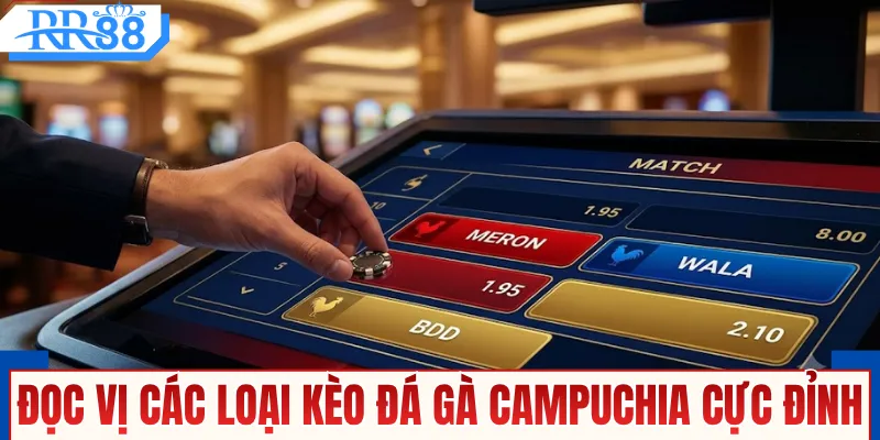 Đọc vị các loại kèo đá gà Campuchia cực đỉnh